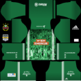 /album/fotogalerie-uber-uns/rapid-kit-fantfans-png/